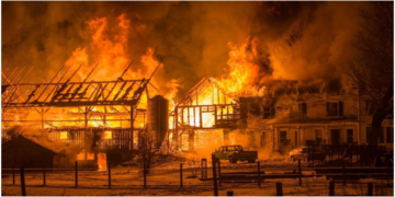 Local Zoning Agent Accidentally Sells Horses for Slaughter